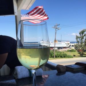 Meet your Posher, Ginger